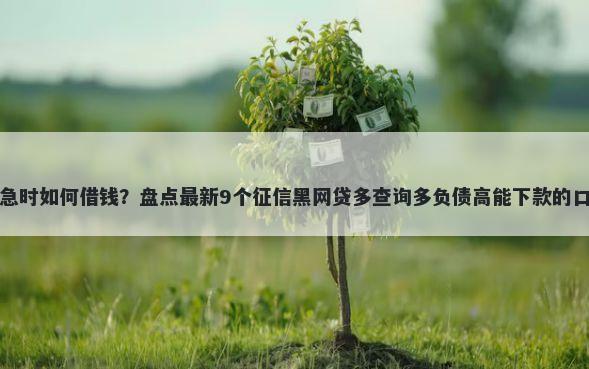 救急时如何借钱？盘点最新9个征信黑网贷多查询多负债高能下款的口子