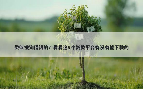 类似搜狗借钱的？看看这5个贷款平台有没有能下款的