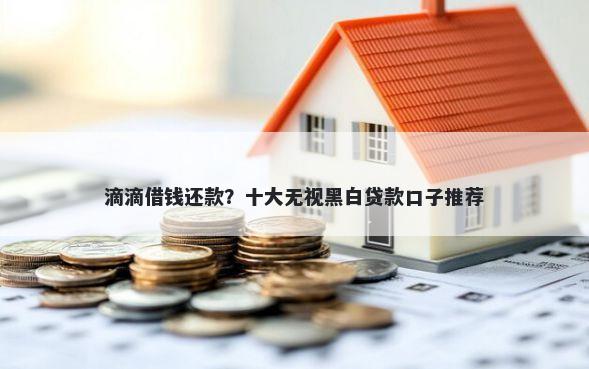 滴滴借钱还款？十大无视黑白贷款口子推荐