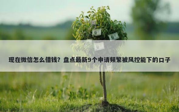 现在微信怎么借钱？盘点最新9个申请频繁被风控能下的口子