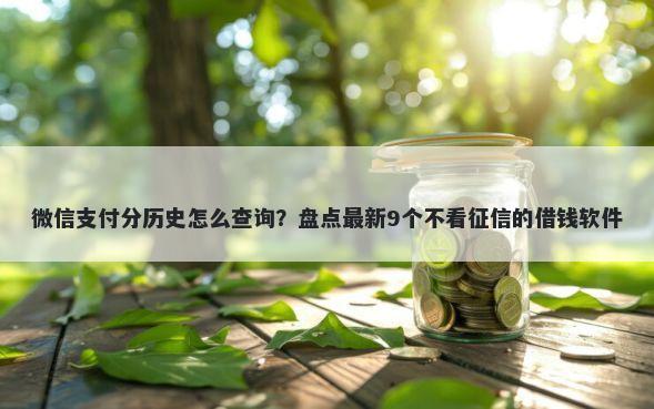 微信支付分历史怎么查询？盘点最新9个不看征信的借钱软件