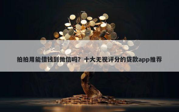 拍拍用能借钱到微信吗？十大无视评分的贷款app推荐