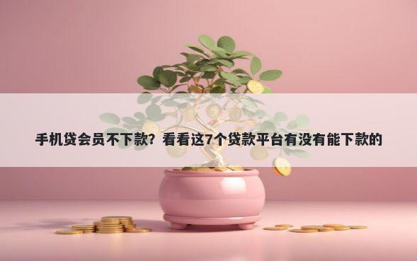 手机贷会员不下款？看看这7个贷款平台有没有能下款的