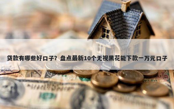 贷款有哪些好口子？盘点最新10个无视黑花能下款一万元口子