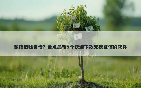 微信借钱包借？盘点最新9个快速下款无视征信的软件