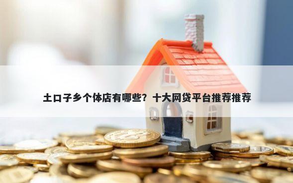 土口子乡个体店有哪些？十大网贷平台推荐推荐