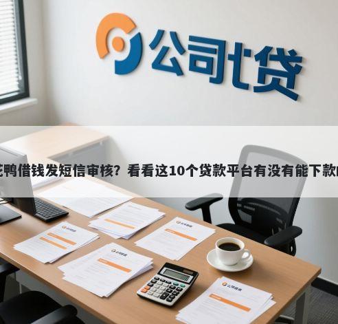 花鸭借钱发短信审核？看看这10个贷款平台有没有能下款的