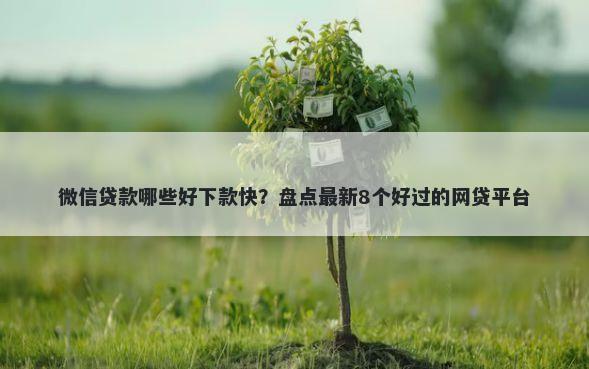 微信贷款哪些好下款快?盘点最新8个好过的网贷平台