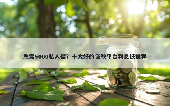 急需5000私人借？十大好的贷款平台利息低推荐