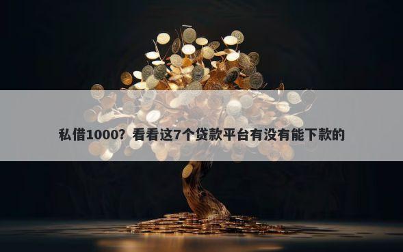 私借1000？看看这7个贷款平台有没有能下款的