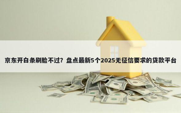 京东开白条刷脸不过?盘点最新5个2025无征信要求的贷款平台