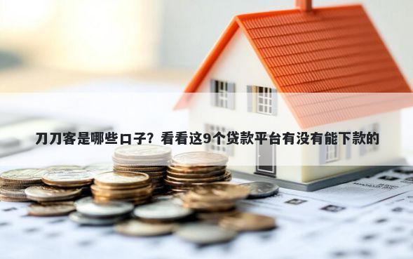 刀刀客是哪些口子？看看这9个贷款平台有没有能下款的