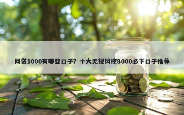 网贷1000有哪些口子？十大无视风控8000必下口子推荐