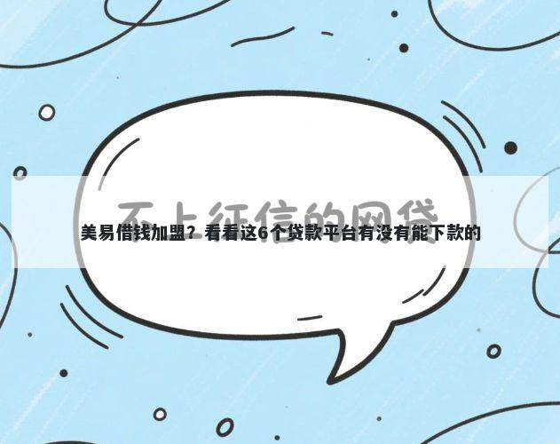 美易借钱加盟？看看这6个贷款平台有没有能下款的