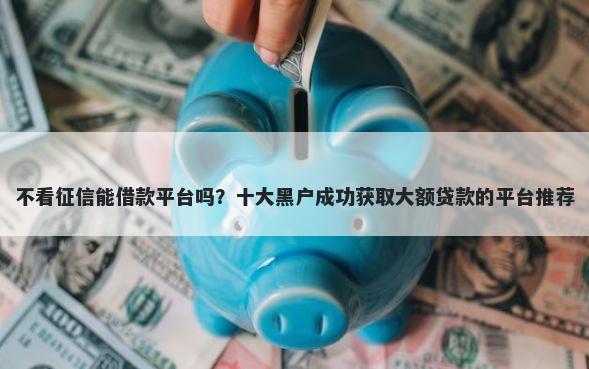 不看征信能借款平台吗?十大黑户成功获取大额贷款的平台推荐