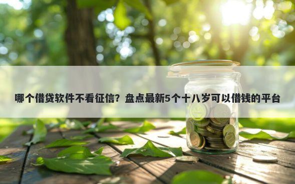 哪个借贷软件不看征信？盘点最新5个十八岁可以借钱的平台
