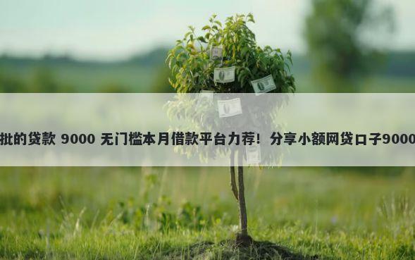 不看征信秒批的贷款 9000 无门槛本月借款平台力荐！分享小额网贷口子9000无门槛借款