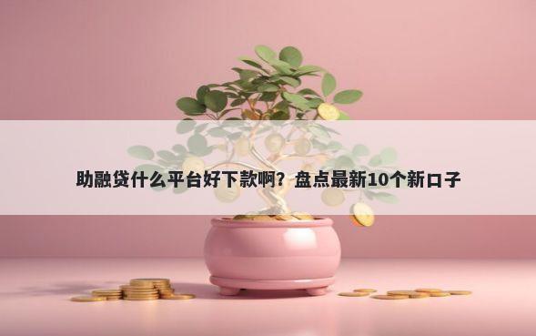 助融贷什么平台好下款啊？盘点最新10个新口子