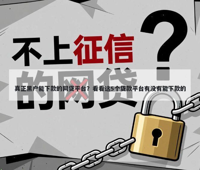 真正黑户能下款的网贷平台？看看这5个贷款平台有没有能下款的