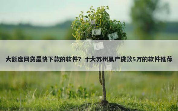 大额度网贷最快下款的软件？十大苏州黑户贷款5万的软件推荐