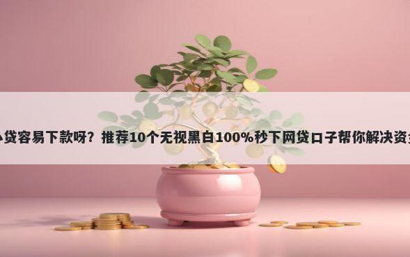 哪些小贷容易下款呀？推荐10个无视黑白100%秒下网贷口子帮你解决资金问题