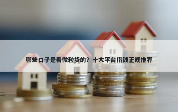 哪些口子是看微粒贷的？十大平台借钱正规推荐