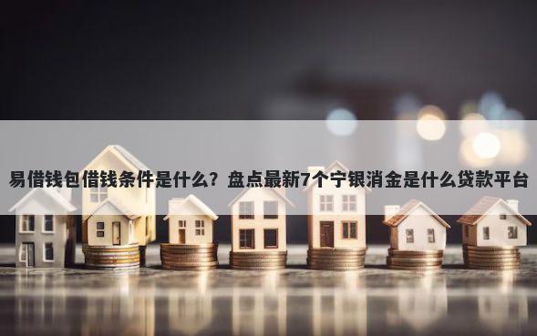 易借钱包借钱条件是什么？盘点最新7个宁银消金是什么贷款平台