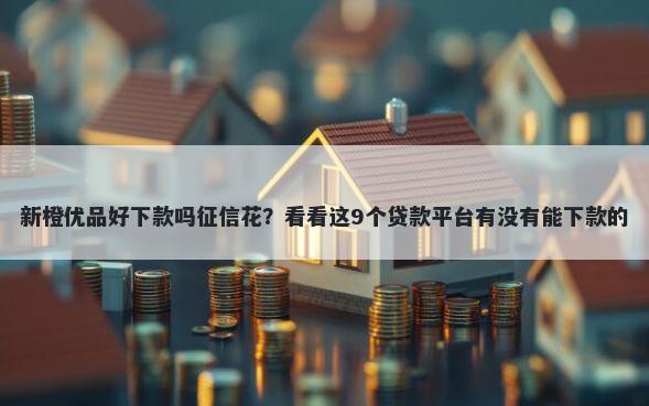 新橙优品好下款吗征信花?看看这9个贷款平台有没有能下款的