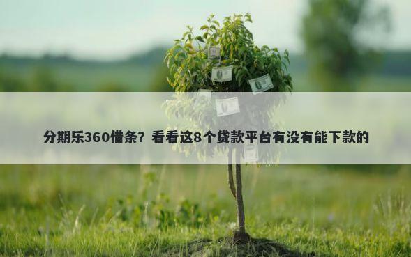分期乐360借条？看看这8个贷款平台有没有能下款的