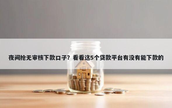 夜间抢无审核下款口子？看看这5个贷款平台有没有能下款的
