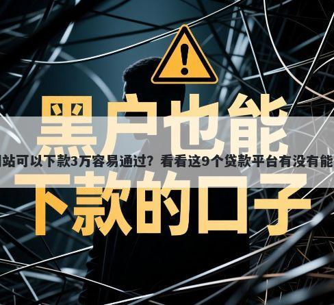 哪个网站可以下款3万容易通过？看看这9个贷款平台有没有能下款的