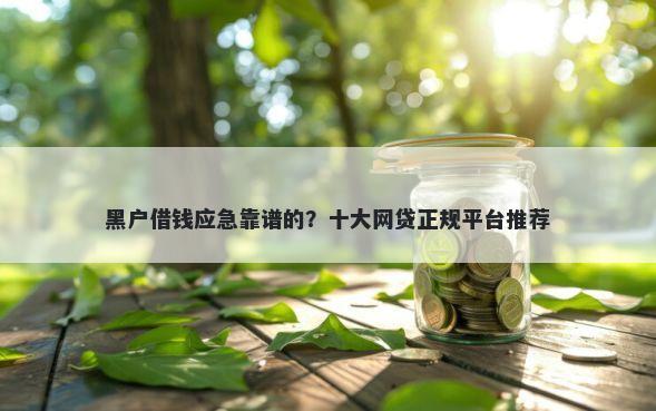 黑户借钱应急靠谱的？十大网贷正规平台推荐