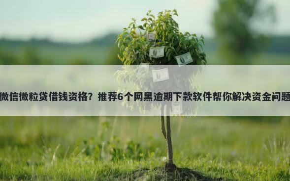 微信微粒贷借钱资格？推荐6个网黑逾期下款软件帮你解决资金问题