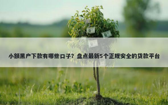 小额黑户下款有哪些口子?盘点最新5个正规安全的贷款平台