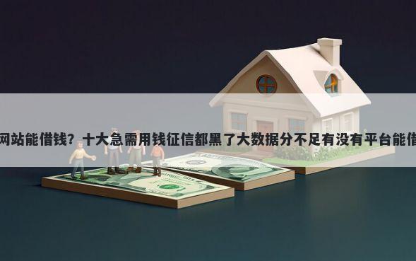 那些网站能借钱？十大急需用钱征信都黑了大数据分不足有没有平台能借推荐