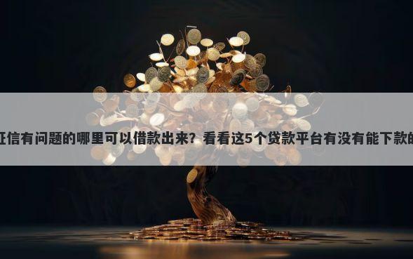 征信有问题的哪里可以借款出来?看看这5个贷款平台有没有能下款的