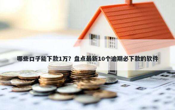 哪些口子能下款1万？盘点最新10个逾期必下款的软件