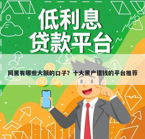 网黑有哪些大额的口子？十大黑户借钱的平台推荐