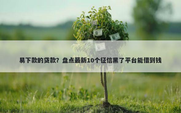 易下款的贷款？盘点最新10个征信黑了平台能借到钱