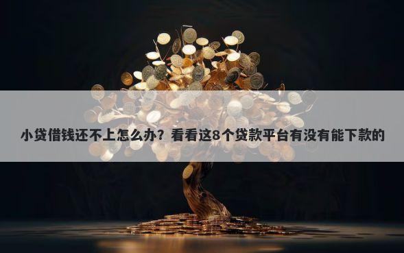 小贷借钱还不上怎么办？看看这8个贷款平台有没有能下款的