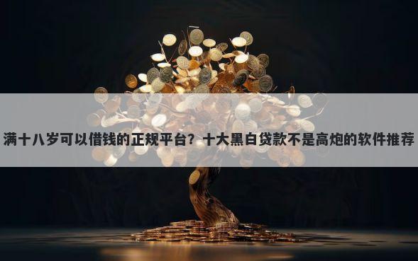 满十八岁可以借钱的正规平台？十大黑白贷款不是高炮的软件推荐
