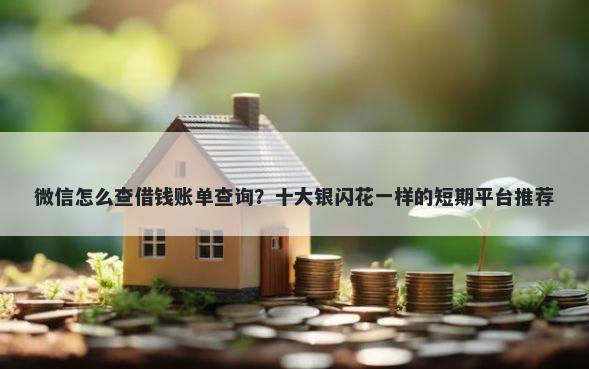 微信怎么查借钱账单查询？十大银闪花一样的短期平台推荐