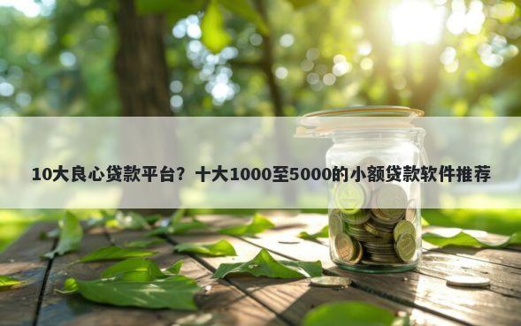 10大良心贷款平台？十大1000至5000的小额贷款软件推荐