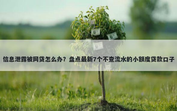 信息泄露被网贷怎么办？盘点最新7个不查流水的小额度贷款口子
