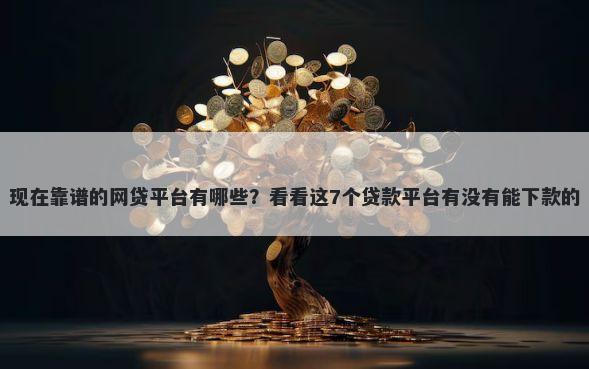 现在靠谱的网贷平台有哪些?看看这7个贷款平台有没有能下款的