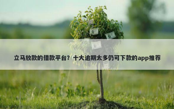 立马放款的借款平台？十大逾期太多仍可下款的app推荐