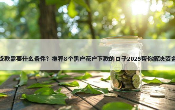 大额贷款需要什么条件?推荐8个黑户花户下款的口子2025帮你解决资金问题