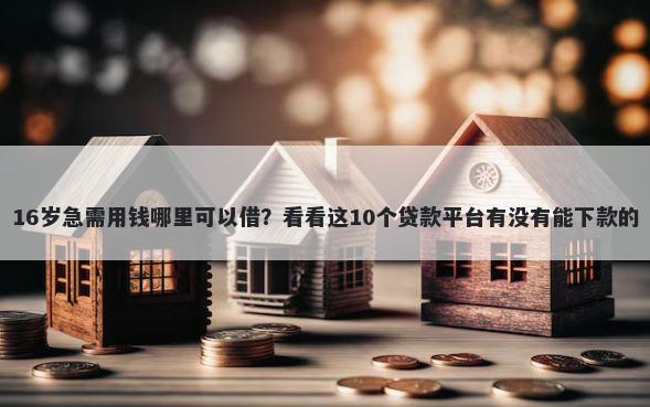 16岁急需用钱哪里可以借？看看这10个贷款平台有没有能下款的