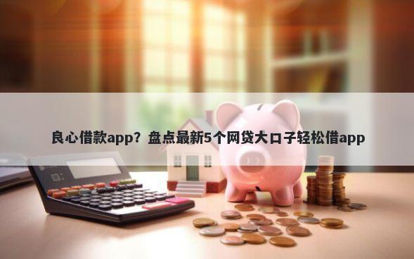 良心借款app？盘点最新5个网贷大口子轻松借app